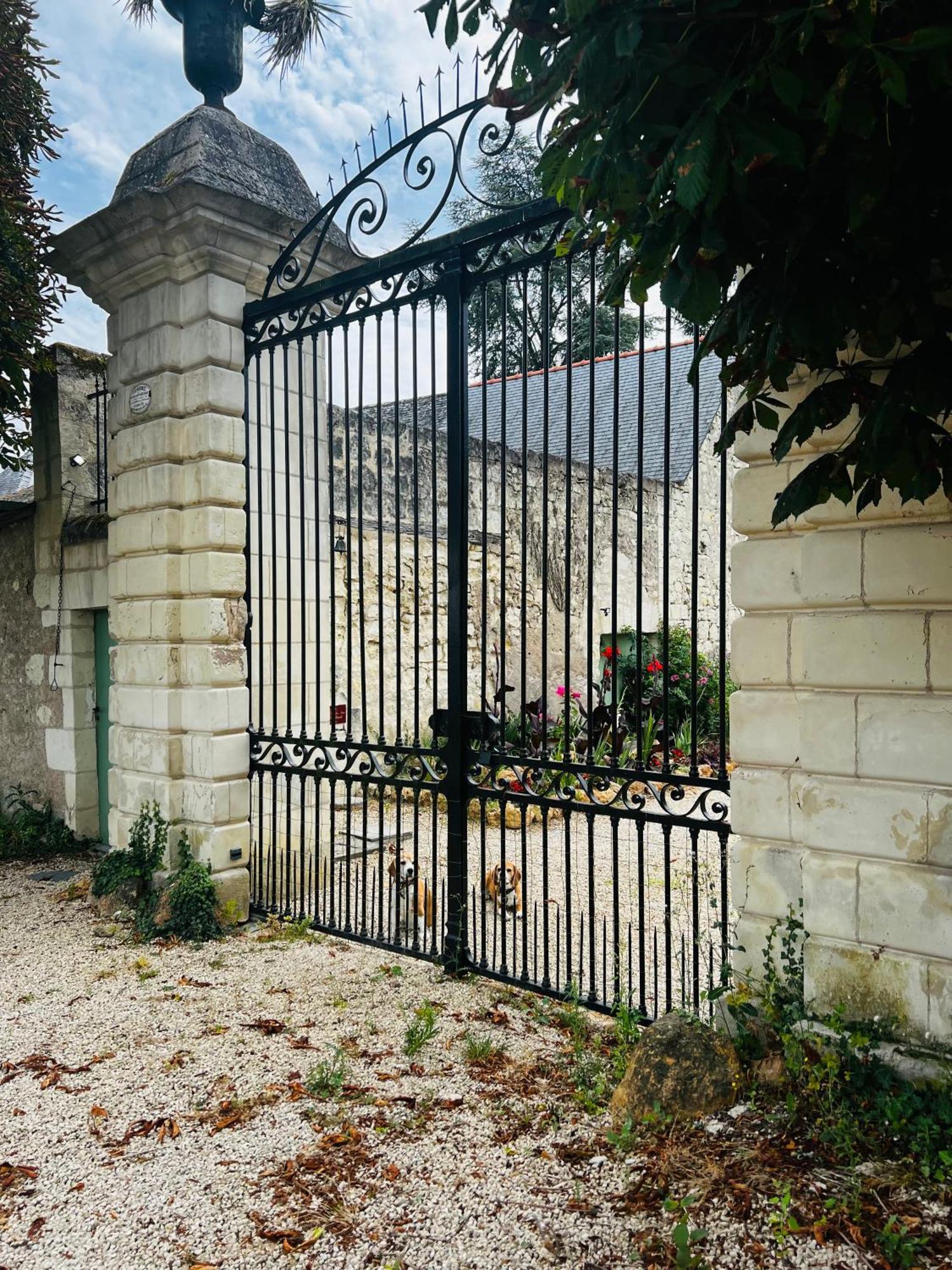 Chateau De La Thibaudiere Bois Savary - Chambre Familiale Du Roi Allonnes  ภายนอก รูปภาพ